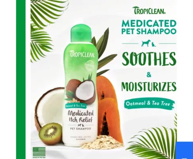 Medicated Itch Relief Shampoo - Image 3
